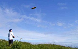 Geoff flying Mini-Weasel slope soarer